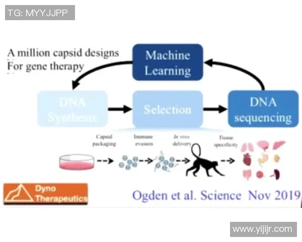 恩佐的成长历程与未来展望探讨如何在竞争中脱颖而出