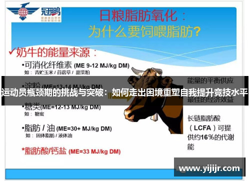 运动员瓶颈期的挑战与突破：如何走出困境重塑自我提升竞技水平
