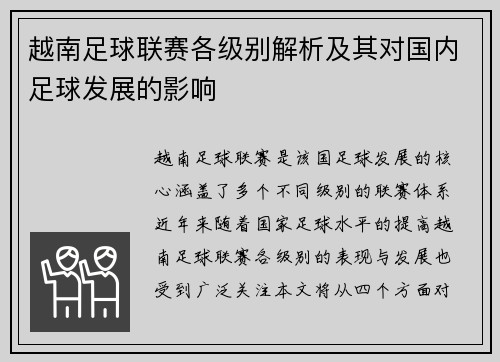 越南足球联赛各级别解析及其对国内足球发展的影响