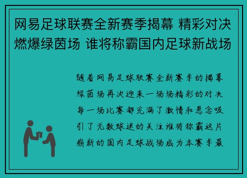 网易足球联赛全新赛季揭幕 精彩对决燃爆绿茵场 谁将称霸国内足球新战场