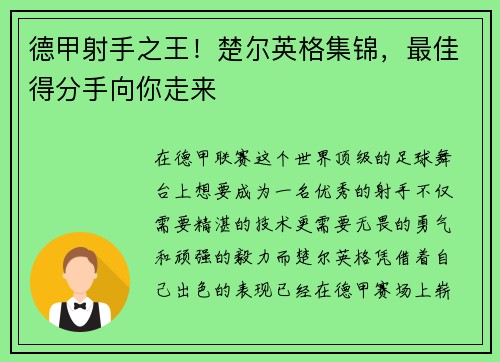 德甲射手之王！楚尔英格集锦，最佳得分手向你走来