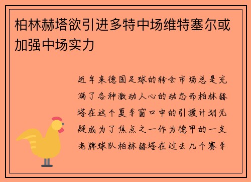 柏林赫塔欲引进多特中场维特塞尔或加强中场实力