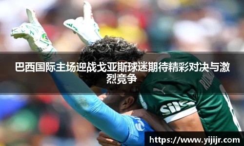 TVT体育手机网页版登录