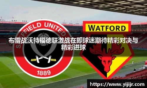 TVT体育官网入口