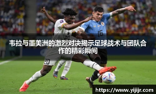 TVT体育官网入口