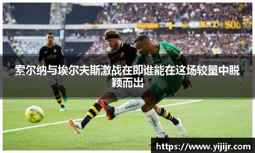 TVT体育官网入口